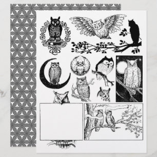 Gorglig Black & White Line Art Teckning från Uggla