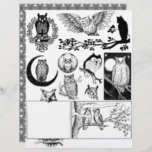 Gorglig Black & White Line Art Teckning från Uggla