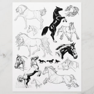 Gorglig Black & White Line Art Teckning of Horses