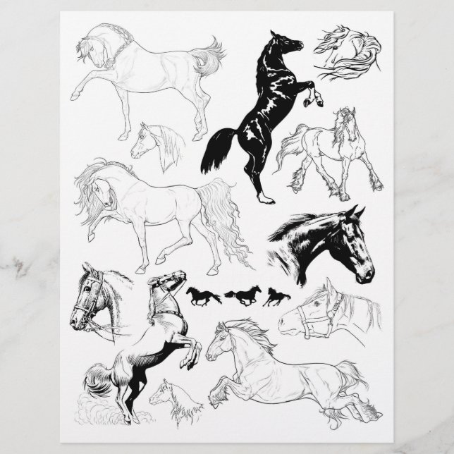 Gorglig Black & White Line Art Teckning of Horses (Framsida)