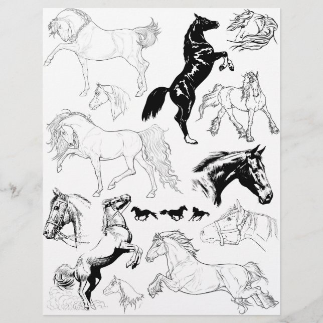 Gorglig Black & White Line Art Teckning of Horses (Framsida)