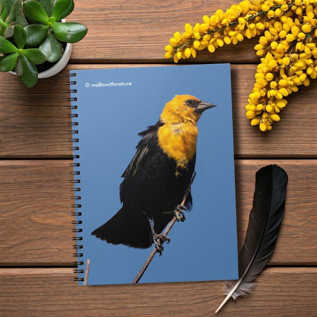 Gorglig Gult-Headed Blackbird på en Windy-dag Anteckningsbok Med Spiral (Gorgeous Yellow-Headed Blackbird Journal Cover Photo)