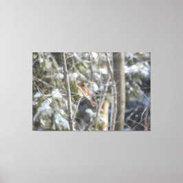 Gorglig kvinnlig kardinal canvastryck