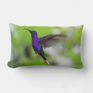 Gorglig lila hummingbird-kudde lumbarkudde