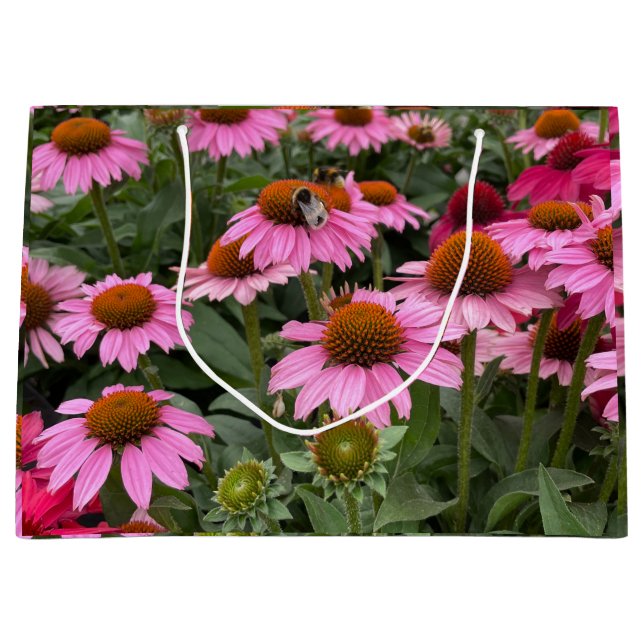 Gorglig Rosa Echinacea Flowers och Bee (Framsidan)