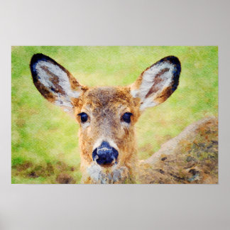 Gorglig Whitetail Hjort Head Watercolor Painting Poster