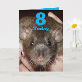 Gorgligt agouti råtta anpassade 8:e födelsedagskor kort