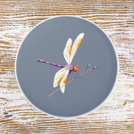Gorgligt Golden Dragonfly på Gren mot Grått Knopp