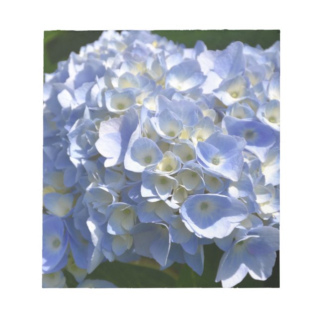 Gorgligt Light Blue Blommar Hydrangea Bush Anteckningsblock (Framsida)