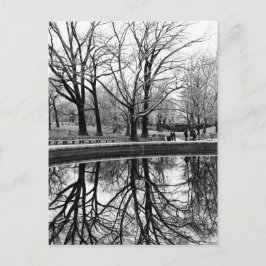 Gorgligt vinterlandskap i Central Park Vykort