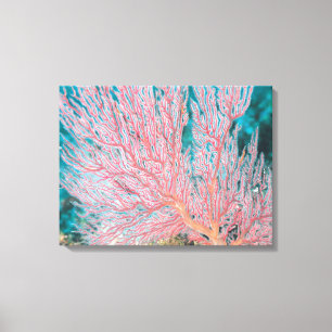Gorgonian korall 3 canvastryck