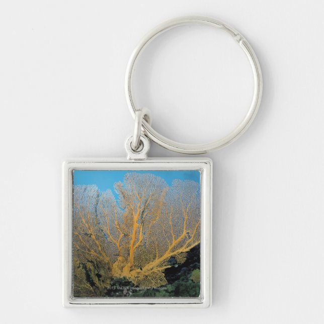 Gorgonian korall fyrkantig silverfärgad nyckelring (Framsidan)