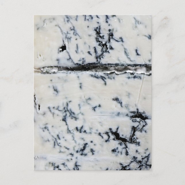 Gorgonzola Cheese Vykort (Framsida)