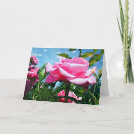 Gorgös rosa ros i blå himmel. Florensfotografi Helgkort