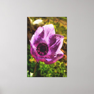 Gorgous Anemone Coronaria Wildblommålning Canvastryck