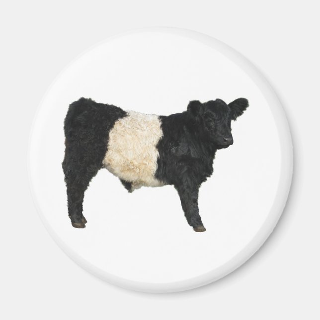 Gorgous Belted Galloway Steer Cutout Magnet (Framsidan)