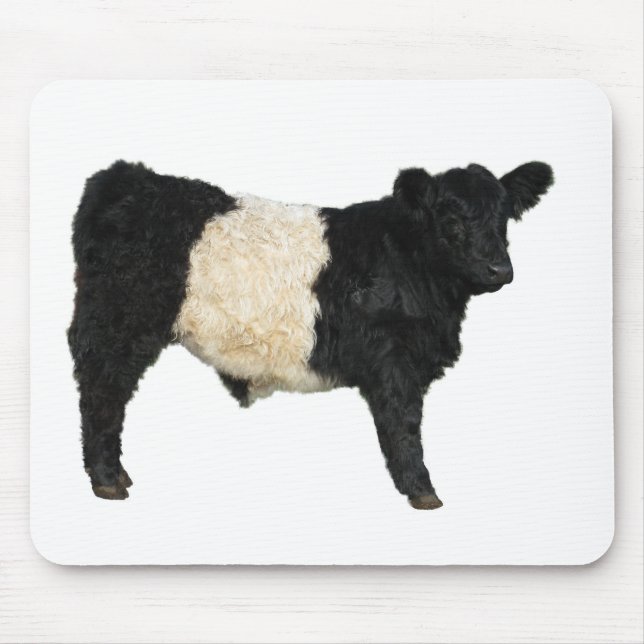Gorgous Belted Galloway Steer Cutout Musmatta (Framsidan)