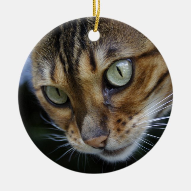 Gorgous Bengal Cat Julgransprydnad Keramik (Framsidan)