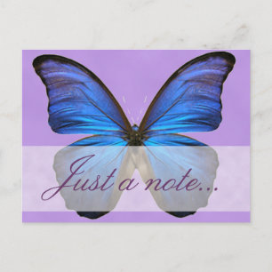 Gorgous Blue Morpho Butterfly Vykort