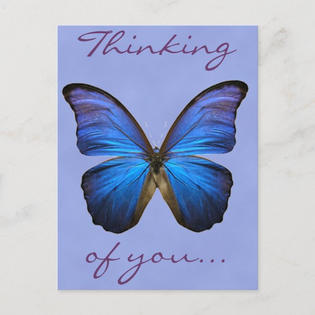 Gorgous Blue Morpho Butterfly Vykort (Framsida)