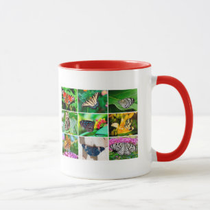 Gorgous Butterflies Collage, 9 foton Mugg