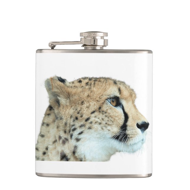 Gorgous Cheetah BeVacker Cat Photo Fickplunta (Framsidan)