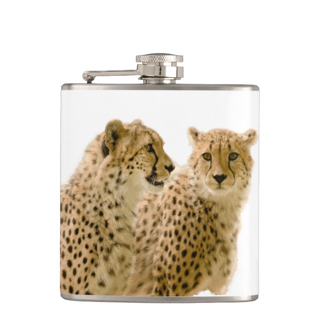 Gorgous Cheetah BeVacker Cat Photo Fickplunta (Framsidan)