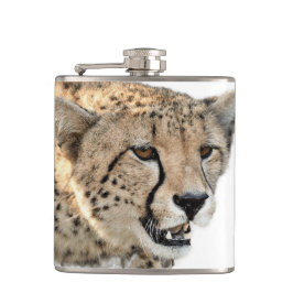 Gorgous Cheetah BeVacker Cat Photo Fickplunta