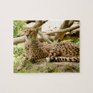 Gorgous Cheetah BeVacker Cat Photo Pussel
