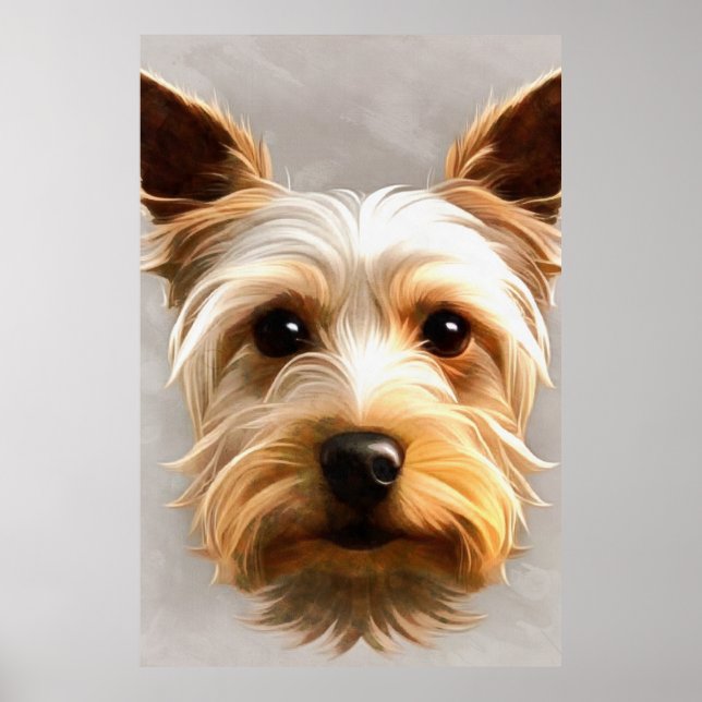 Gorgous Cute Yorkshire Terrier Puppy Flyter Poster (Framsidan)