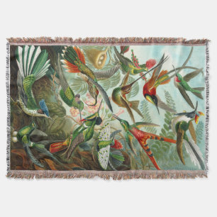 Gorgous Ernst Haeckel Hummingbird Mysfilt