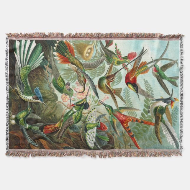 Gorgous Ernst Haeckel Hummingbird Mysfilt (Framsidan)