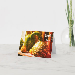 Gorgous Finare Gourds Natature Tack Kort