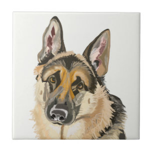 Gorgous German Shepherd, Alsation Hund Kakelplatta