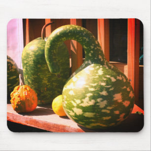 Gorgous Giant Gourds Nature Musmatta