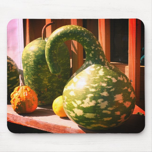 Gorgous Giant Gourds Nature Musmatta (Framsidan)