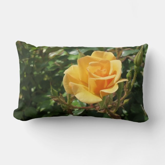 Gorgous Gul ros Lumbar Pillow Lumbarkudde (Framsida)