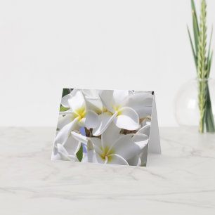 Gorgous Hawaiian Plumeria Note Card Kort