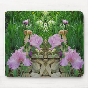 Gorgous Iris Fantasy Pathway Musmatta