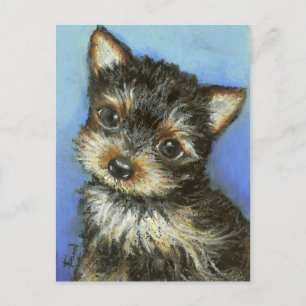 Gorgous Little Yorkie Vykort