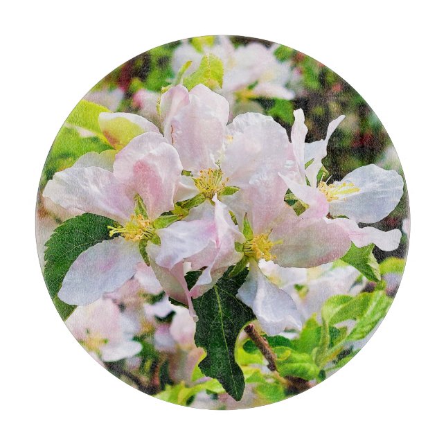 Gorgous Malus asiatica Photo (Framsidan)