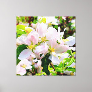 Gorgous Malus asiatica Photo Canvastryck