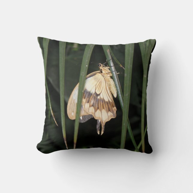 Gorgous Moth Pillow Kudde (Framsida)