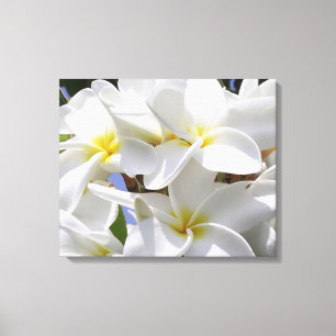 Gorgous Plumeria Wrapped Canvas