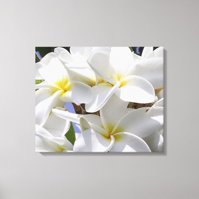 Gorgous Plumeria Wrapped Canvas (Framsida)