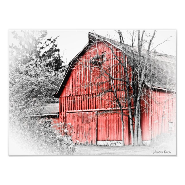 Gorgous Red Barn Fototryck (Framsidan)
