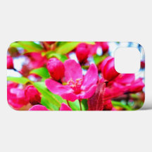 Gorgous Red Barron Crabapple Photo