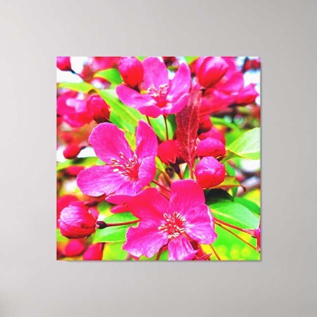 Gorgous Red Barron Crabapple Photo Canvastryck (Framsida)