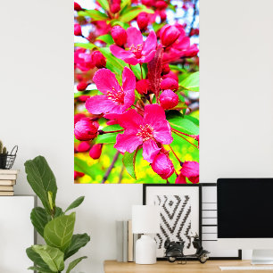 Gorgous Red Barron Crabapple Photo Poster
