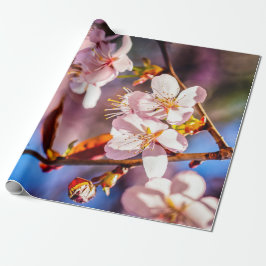 Gorgous Sakura Blommars Presentpapper